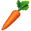 carrot